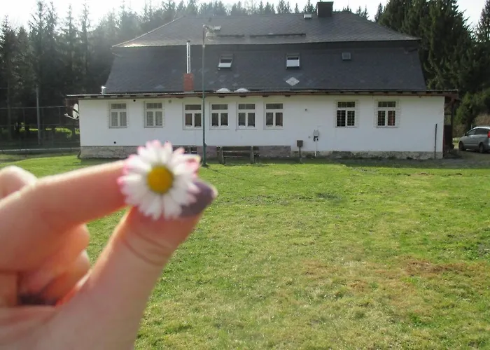 Sedmikraska Orman Evi *